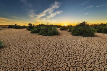 Засуха может стать новой мировой пандемией
